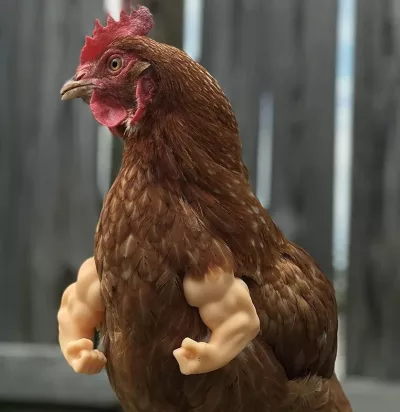 Chicken Arms