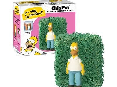 homer-simpson-chia-pet